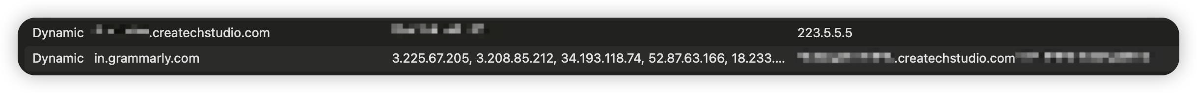 DNS Log in Surge